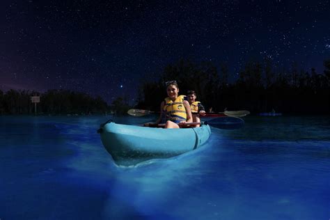 Glow in the Dark: A Lesson in Bioluminescent Kayaking - Space Coast ...