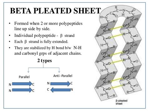 Protein structure: details