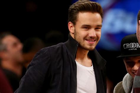 Liam Payne Injured During Concert, One Direction Bandmates Help