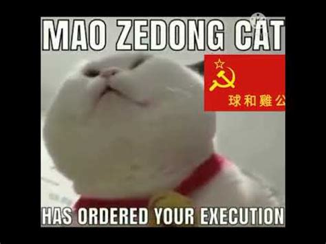 Mao zedong cat has ordered your execution - YouTube