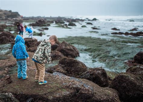 5 Tips for Visiting the Point Loma Tide Pools with Kids