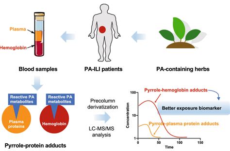 Diagram of the detection of PPAs in blood samples of PA-ILI patients... | Download Scientific ...