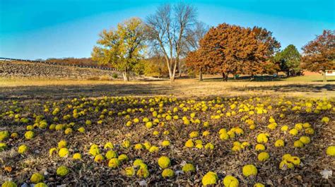 Best Campgrounds in Kansas | Survival Life | National Parks