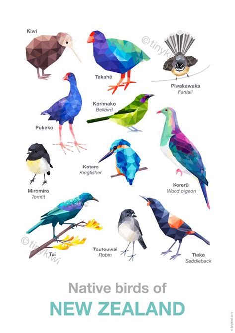 A2 New Zealand birds poster, Bird poster, Geometric birds, Geometric design, Kiwi, Bellbird, Tui ...