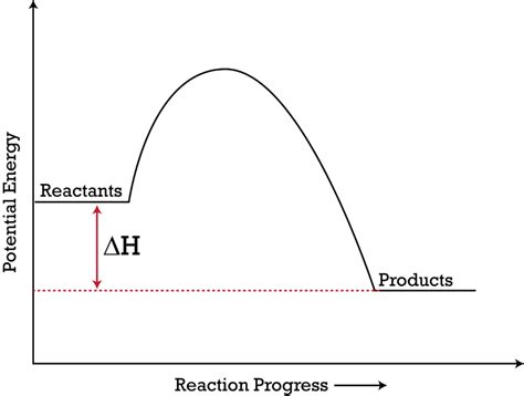 30 Label This Diagram Energy Reaction Progress - Label Design Ideas 2020