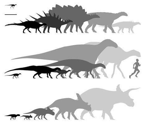 Species New to Science: [Paleontology • 2023] Convergent Evolution of ...