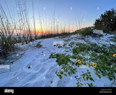 Sunset on Anna Maria Island Stock Photo - Alamy