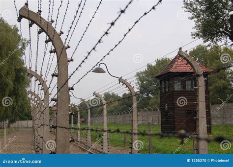 Barbed wire electric fence editorial image. Image of tower - 1255370