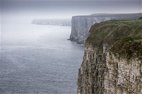 Bempton Cliffs walk - Bempton RSPB - East Yorkshire walks