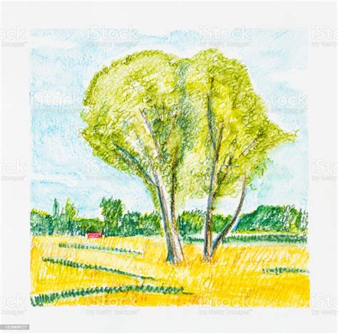 Sketch Of Summer Landscape With Trees By Pencil Stock Illustration ...