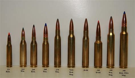 Why 308 is the Best for Hunting | Comparing .308 vs .223 and .30-06