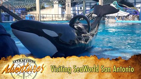 Seaworld San Antonio Tickets - change comin