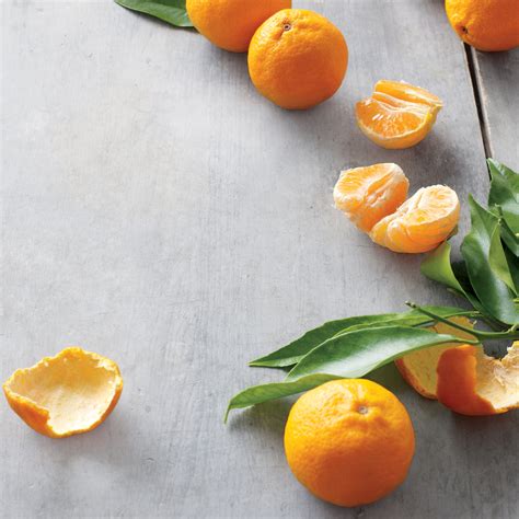 In Season: Tangerines | Martha Stewart