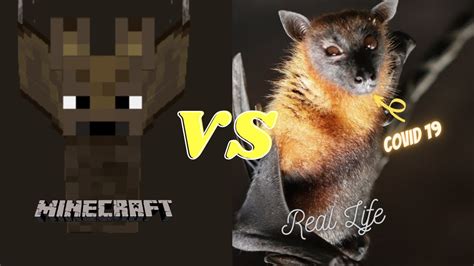 Minecraft IN REAL LIFE (animals) - Minecraft videos