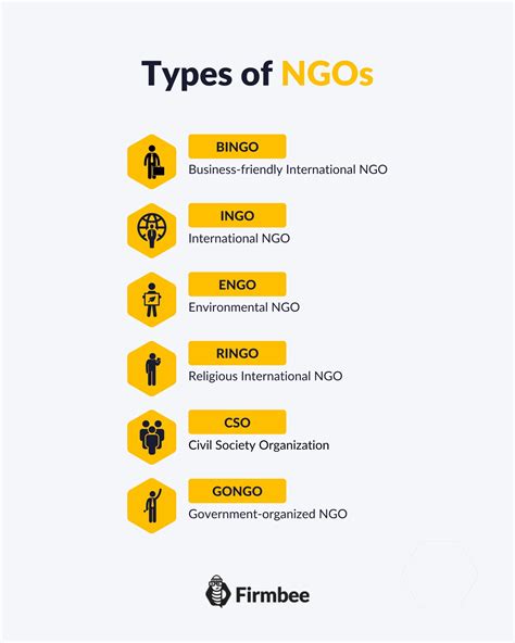 What are the different types of NGOs? | Firmbee