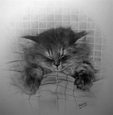 Amazing Pencil Drawings By Paul Lung - Freeware Guru ! - Free Utility Software Downloads