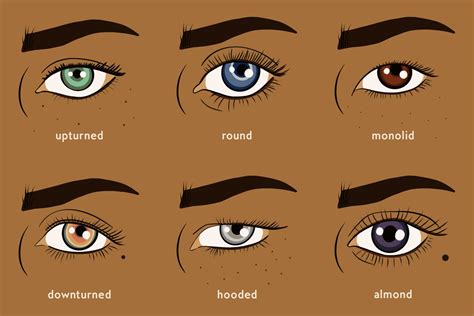 Eye Shapes and How to Apply Makeup for Each