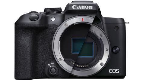 Canon reported to announce EOS R8, EOS R50 bodies and two new lenses in the next week