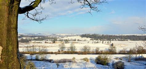 Your Pictures: Snow | Bishop auckland, Picture, Durham county