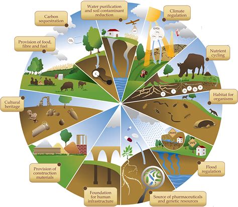 Frontiers | Soil “Ecosystem” Services and Natural Capital: Critical Appraisal of Research on ...