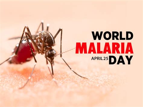 World Malaria Day 2024: Theme, History & Significance