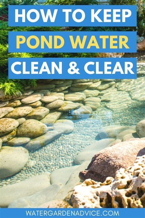 How To Keep Pond Water Clean & Clear | Small water gardens, Water pond, Ponds backyard