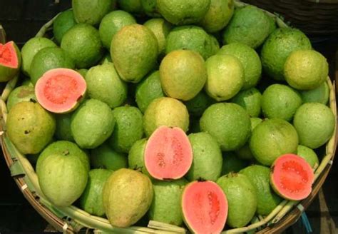 Top 5 and widely used varieties of Guava in India