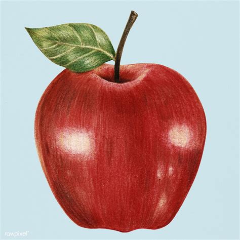 Illustration of an isolated red apple watercolor style | premium image ...