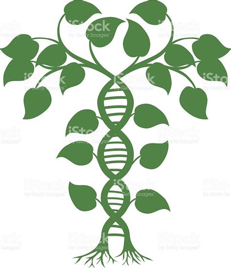 DNA nature plant royalty-free stock vector art Dna Fingerprinting, Dna ...