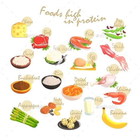 Food Rich In Proteins Poster | Rich in protein, Food drawing, Food