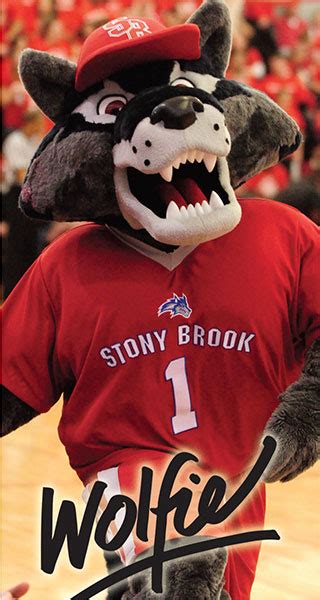 SUNY Mascot Madness Round 4/Game 27 - Stony Brook vs Binghamton