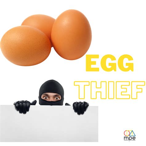 Montessori Physical Education Individual Lessons Egg Thief