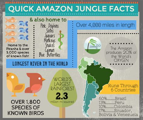 Amazon River Facts | Rainforest Cruises