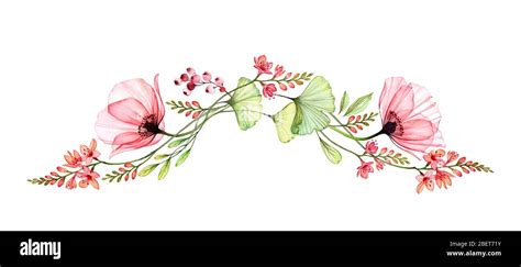 Watercolor floral border. Long horizontal design element in arch shape. Two big poppy flowers ...