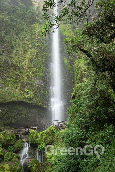 14 Stunning Waterfalls of Ecuador > GreenGo Travel