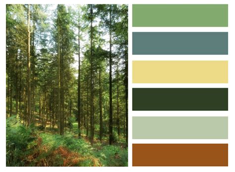 Woodland Colour scheme | Camping wallpaper, Color schemes, Interior design color schemes