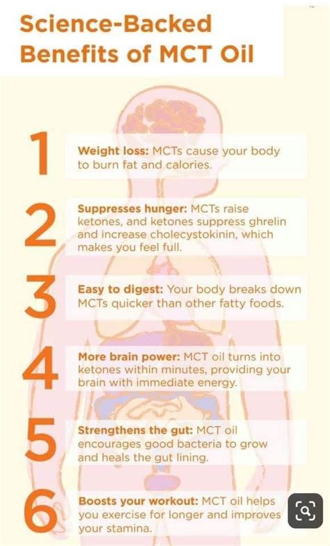 MCT OIL Food Health Benefits, Body Health, Holistic Nutrition ...