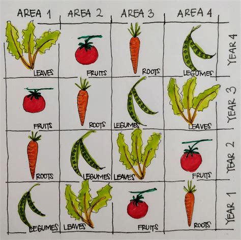 Printable Crop Rotation Chart