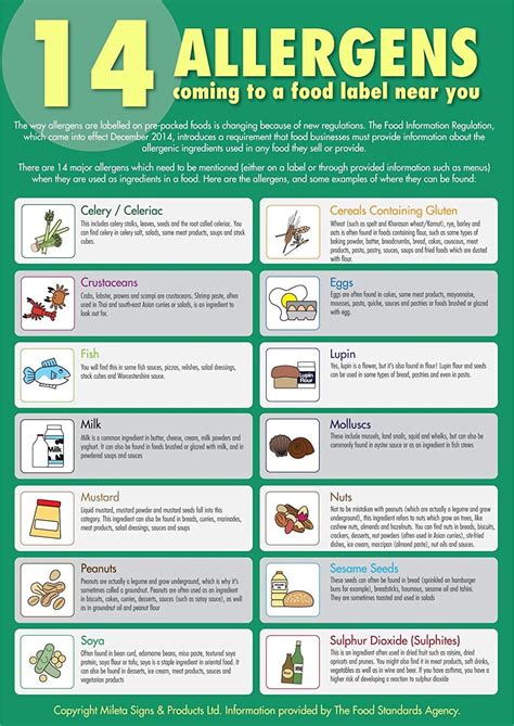 Food Safety Posters Uk - CAWRQU