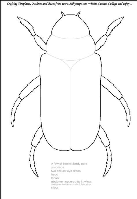 Beetle-outline-craft-template.gif 690×1,000 pixels | Insect crafts