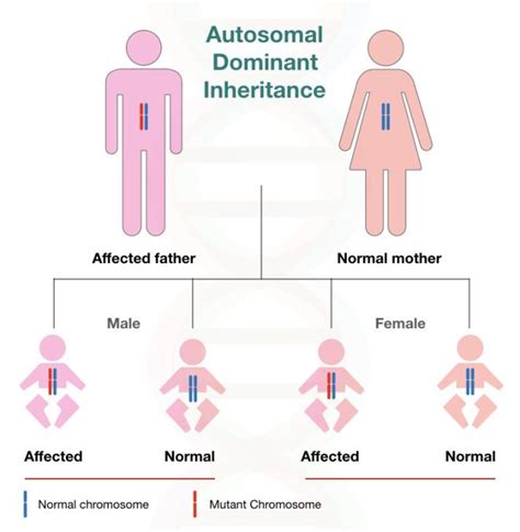 Different types of inheritance pattern