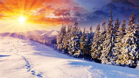 Bing Snow Sunset Wallpapers - Wallpaper - #1 Source for free Awesome ...