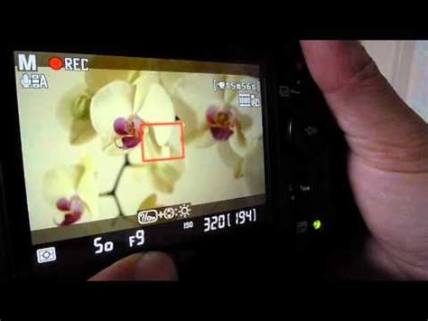 Nikon D7000 Movie Mode Settings Explained | Nikon d7000, Nikon tutorial ...