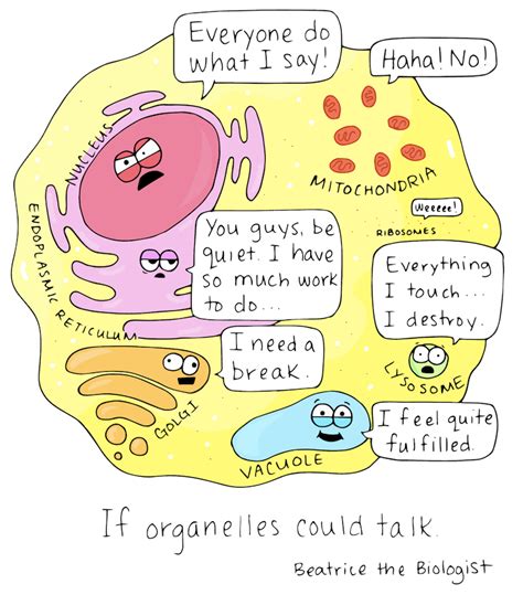 If Organelles Could Talk - Beatrice the Biologist