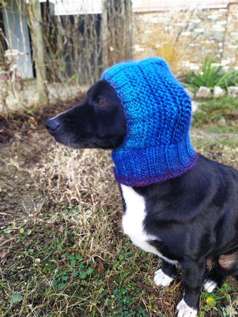 Pdf Knitting Pattern Dog Hats,base Dog Hat,small Dog Hat,knitted Dog ...