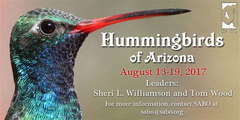 Hummingbirds – Sheri L. Williamson