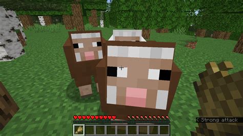 I found 2 Brown Sheep at random, they just randomly spawned there : r ...