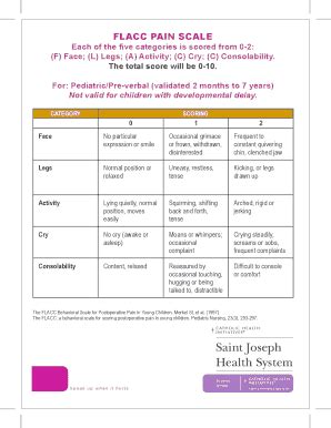 Flacc Pain Scale Pdf - Fill Online, Printable, Fillable, Blank | pdfFiller