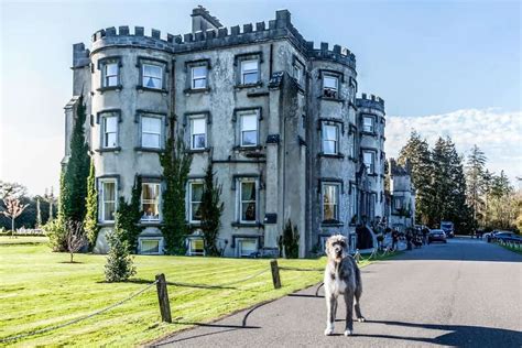 Castle Wedding Venues Ireland | Paudie Walsh - The DJ