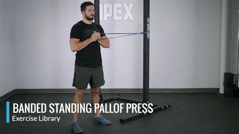 Banded Standing Pallof Press - OPEX Exercise Library - YouTube